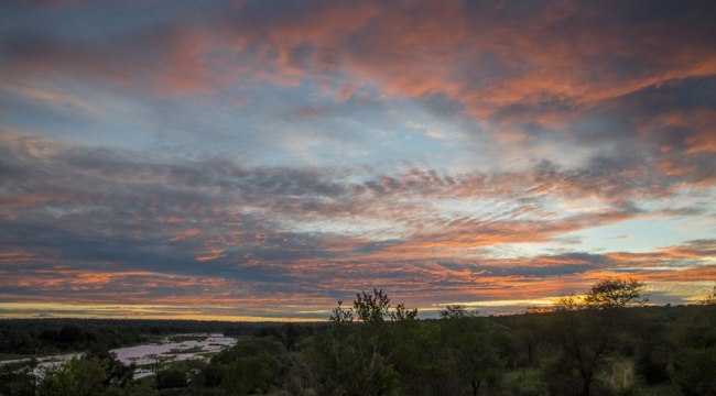 Sabi Sabi by Simon Smit